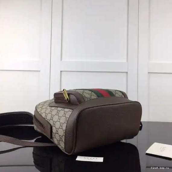 Ophidia backpack GG small Gucci 0518